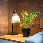 Conditioning House - 2 شقة *